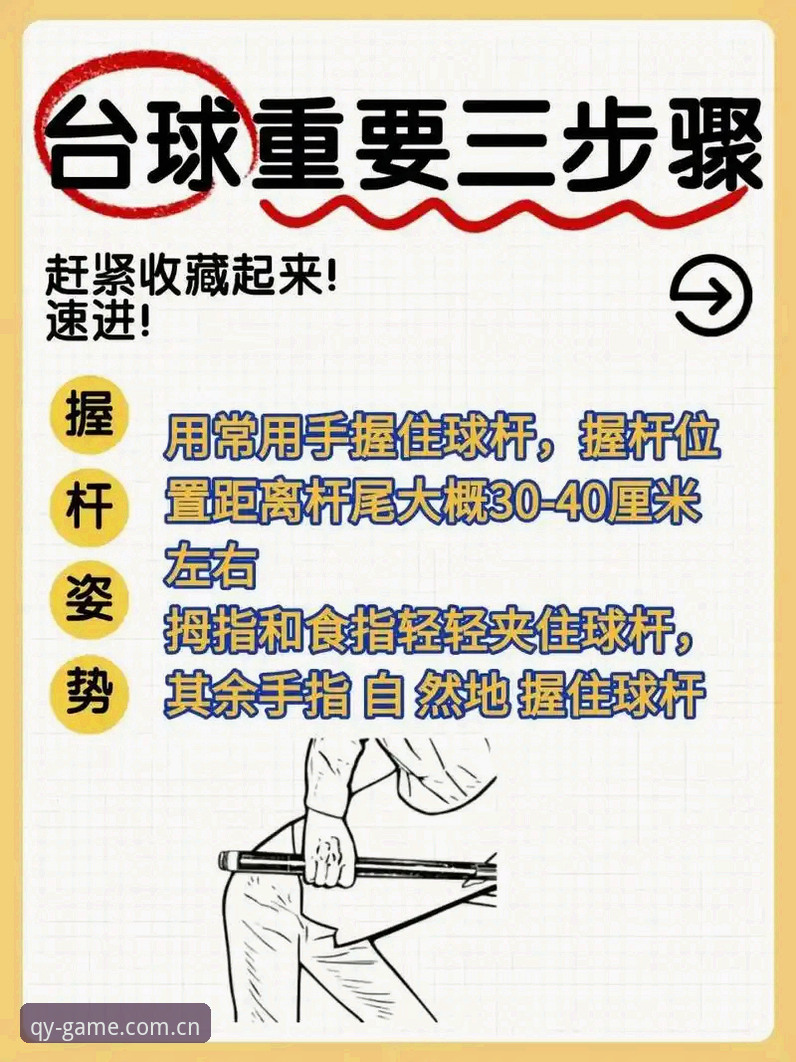 新手必看：手机版qy体育平台如何快速上手？